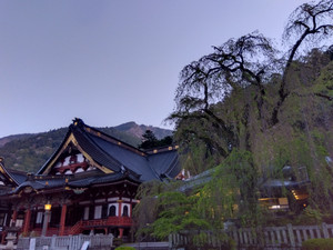 Img_20260411052430649 Img_20260411052430649