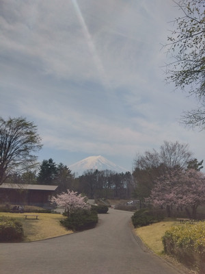 Img_20260412113302809