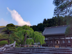 Img_20260416063401532