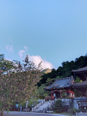 Img_20260416063441005