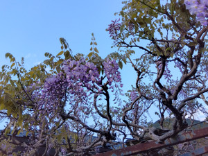 Img_20260416063535804