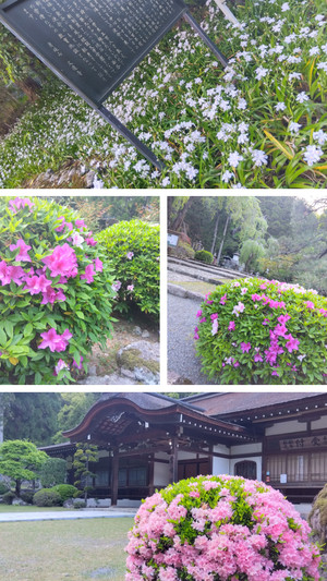 20260421_205420collage