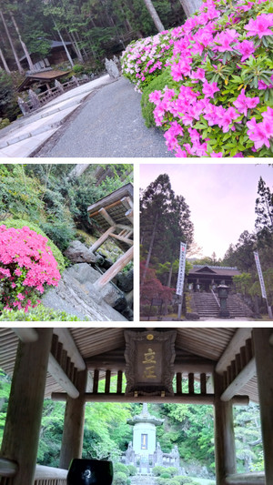 20260421_205509collage