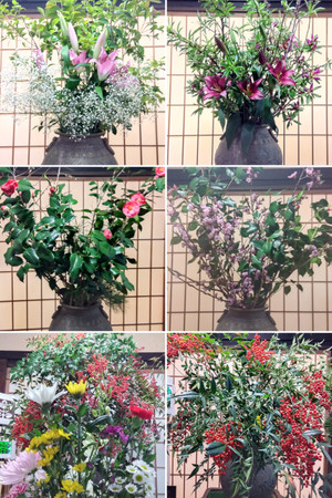 20260427_175900collage