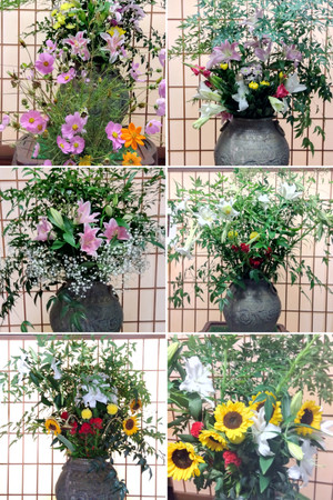 20260427_180131collage