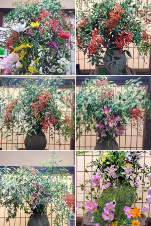 20260427_180251collage