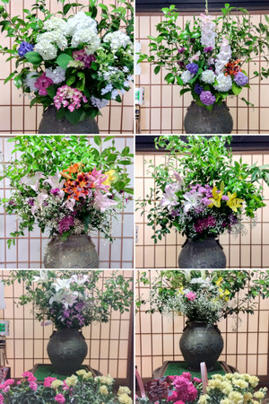 20260428_094630collage