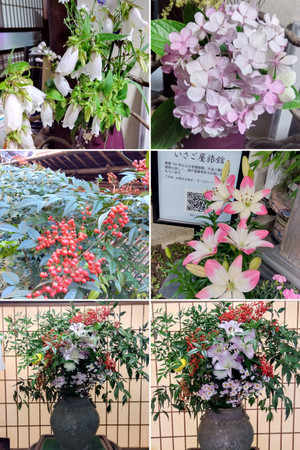 20260428_095315collage