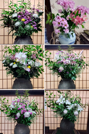 20260428_170942collage