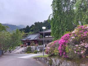 Img_20260430052424982