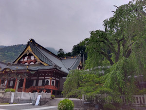 Img_20260430052554923