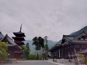 Img_20260430052619035