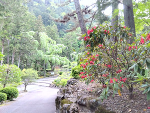 Img_20260514180023117