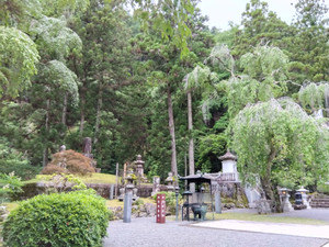 Img_20260609181632282