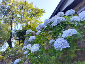 Img_20260617060920050