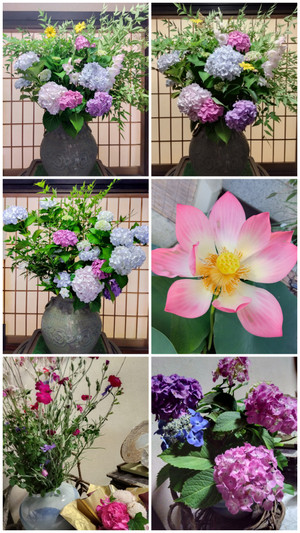 20260622_172738collage