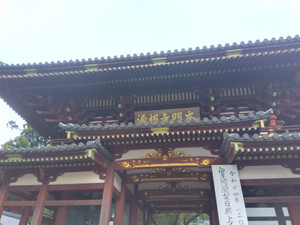 Img_20260825164936807
